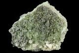 Green Prehnite Crystal Cluster - Morocco #80697-1